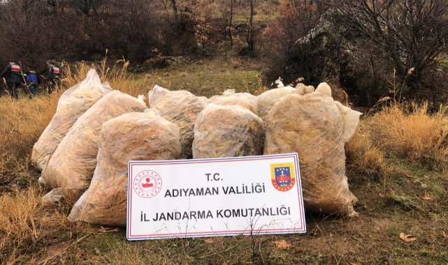 Jandarma çalınan tütünleri dere yatağında buldu