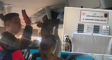 Şanlıurfa'da şok yol aramalarında 24 gözaltı