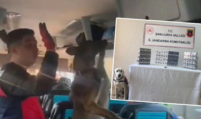 Şanlıurfa'da şok yol aramalarında 24 gözaltı