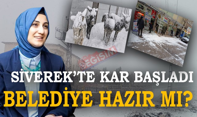 Siverek'te donan eşekler bu sene de gündem olmasın!