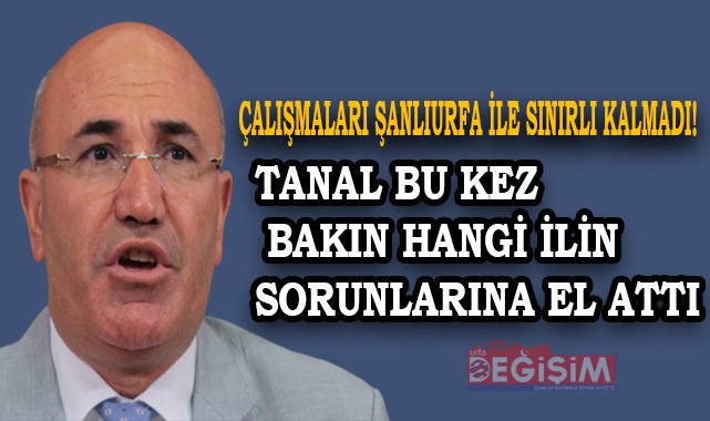 Vanlı siyasetçilerin yapamadığını Tanal yaptı!