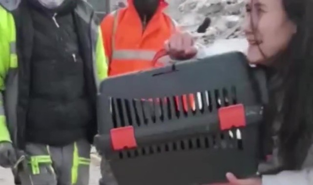Artçı sarsıntılar arasında 7. katta mahsur kalan kediyi kurtardı