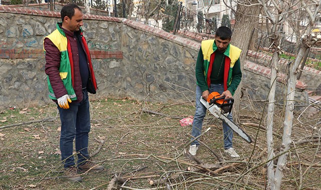 Parklarda bakım ve ağaç budama çalışmaları