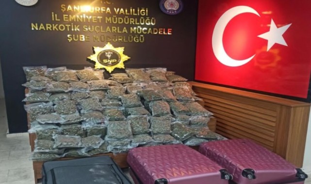 Şanlıurfa'da 59 kilo 650 gram skunk ele geçirildi