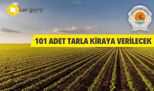101 adet tarla kiraya verilecek