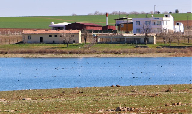  Kabaklı Göleti'nde nadir görülen kuş popülasyonu
