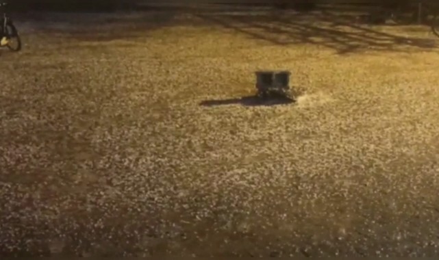 Şanlıurfa'da dolu ve sağanak yağış etkili oldu