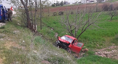 Ağaca çarpan otomobil şarampole yuvarlandı