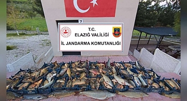 Kaçak balık avına 16 bin lira ceza