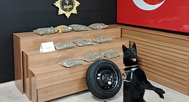 Şanlıurfa'da durdurulan araçta uyuşturucu çıktı! Gözaltılar var