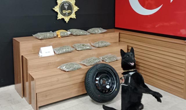 Şanlıurfa'da durdurulan araçta uyuşturucu çıktı! Gözaltılar var