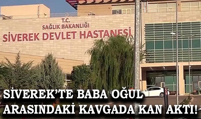 Siverek'te baba oğul tartışması kanlı bitti