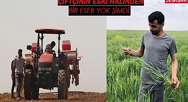 Tarımda enflasyon durdurulamıyor, kuş gibi uçuyor!