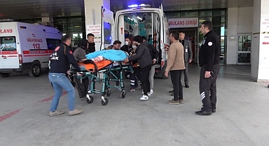 Tarlaya giren hayvan kavgası kanlı bitti