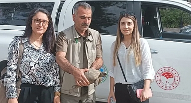 Doğada bitkin halde bulundu!
