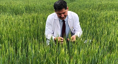  Türkiye'de tarımsal kuraklık riski kalmadı