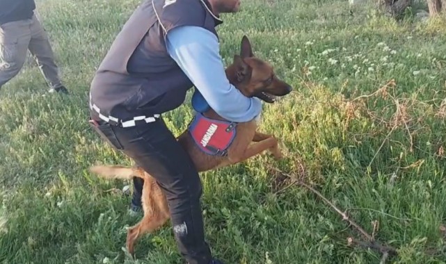 Uyuşturucu operasyonu: 5 gözaltı