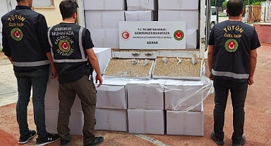 Kaçak sigara üreticilerine darbe