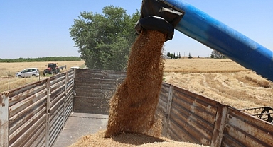 Arpa ve buğday alım ücreti açıklandı