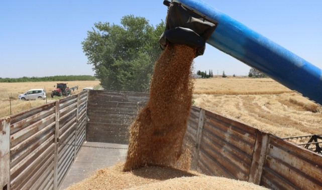 Arpa ve buğday alım ücreti açıklandı