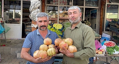 Avrupa Birliği'nden Şanlıurfa kararı! 
