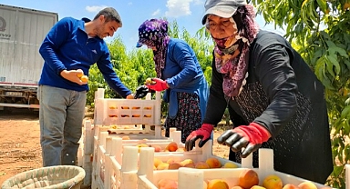 Depremin vurduğu ilde hasat dönemi başladı