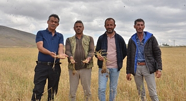 Dolu yağışı, çiftçinin bir yıllık emeği ve alın terini götürdü