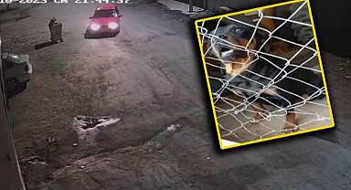 Hırsızlığın bu kadarı pes dedirtti
