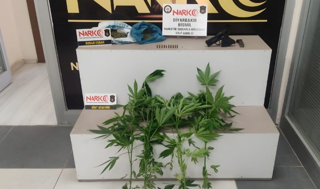 Narkotik operasyonu: 2 gözaltı