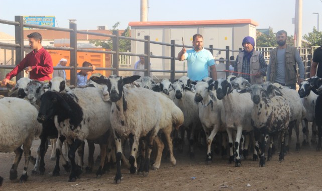  Şanlıurfa’da kurban pazarları hareketlendi