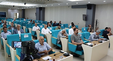 Şanlıurfaspor, Belediye Meclisinin de gündemindeydi