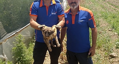 Su kuyusuna düşen yavru köpek kurtarıldı