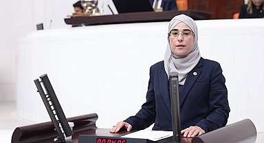 Urfalı vekilden yatırımcılara çağrı