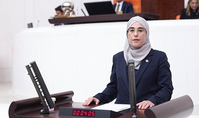 Urfalı vekilden yatırımcılara çağrı