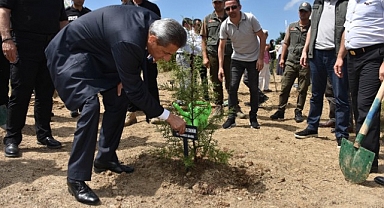 15 Temmuz şehitleri anısına fidan diktiler