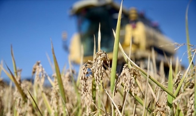 Depremden etkilenen 11 ildeki genç girişimcilere 75 milyon liralık ek bütçe