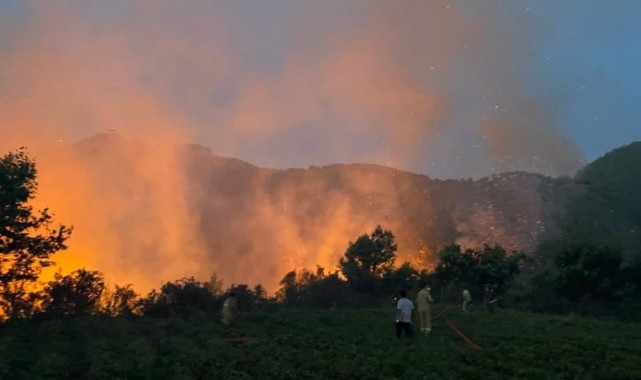 Orman yangını havadan ve karadan müdahale ile kontrol altına alındı