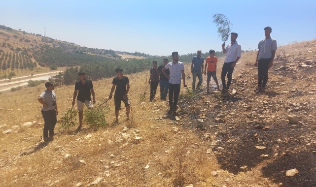 Şanlıurfa'da korkutan yangın