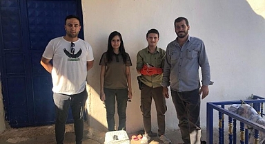 Şanlıurfa'da yaralı bulunan gökdoğan tedavi altına alındı