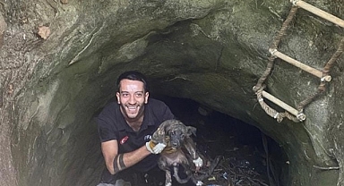 Silvan'da kuyuya düşen köpeği itfaiye ekibi kurtardı