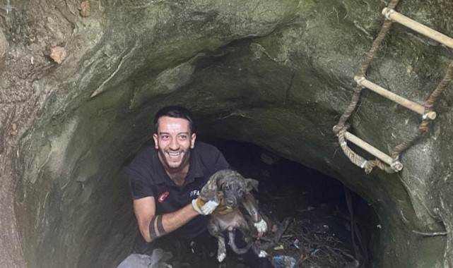 Silvan'da kuyuya düşen köpeği itfaiye ekibi kurtardı