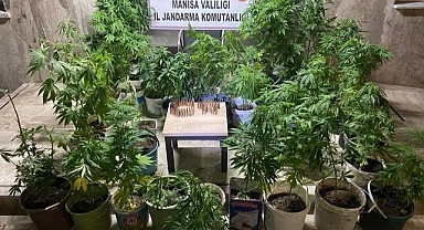 Terör operasyonlarında 6 günde 10 kişi gözaltına alındı