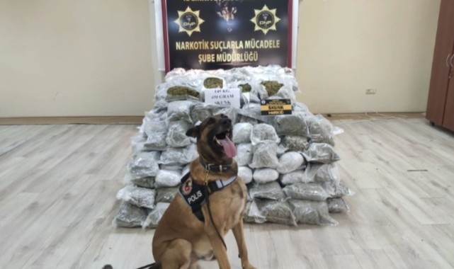 Durdurulan tırda 145 kilo 450 gram skunk ele geçirildi