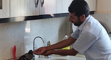 Sıcaktan bunalan güvercin Müftülük binasına sığındı