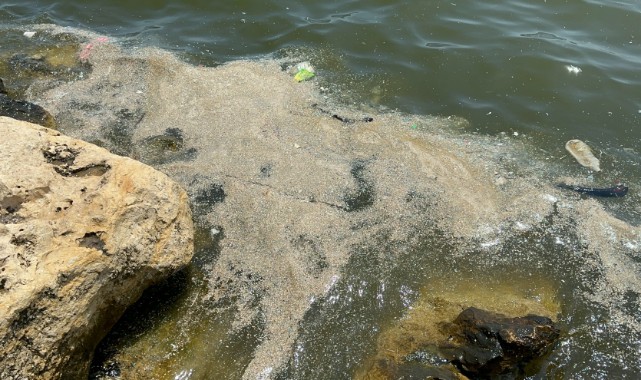 Akdeniz'de mikroplastik tehditi büyüyor