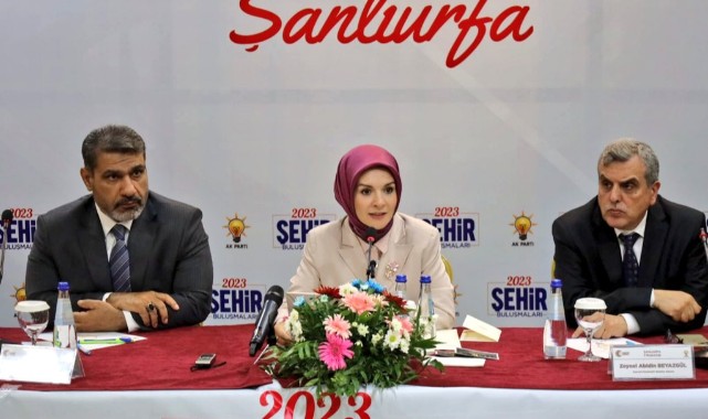 Bakan Göktaş: Şanlıurfa'da 335 binin üzerinde haneye ulaştık