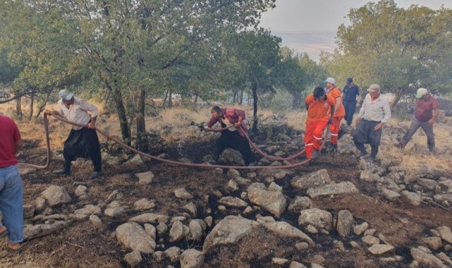  Gaziantep'te yıldırım düştü! Ormanlık alanı yandı