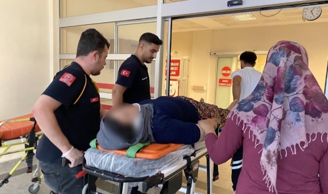 İncir ağacından düşen kadın yaralandı