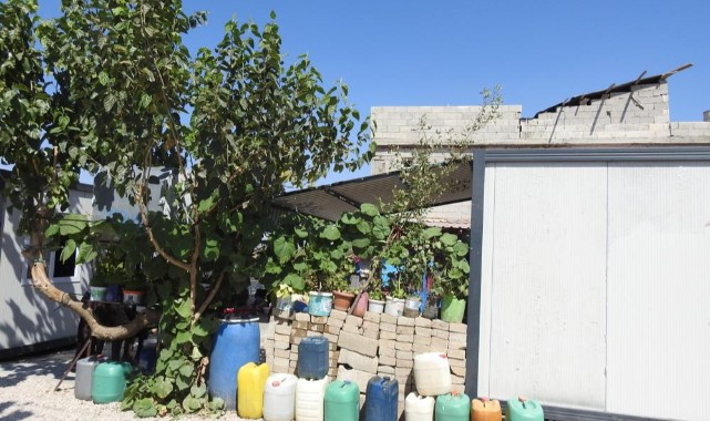 Konteynerler ’de çiçeklere bakarak zaman geçiriyorlar