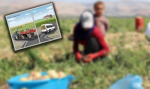 Küçük Songül tarlada doğdu, tarlada vefat etti
